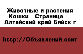 Животные и растения Кошки - Страница 2 . Алтайский край,Бийск г.